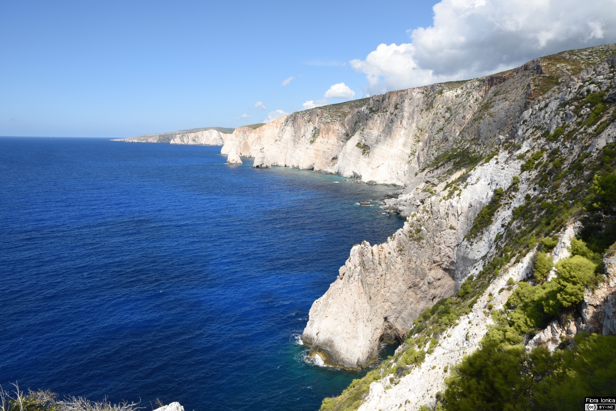 Characteristic limestone cliffs at the W coast of Zakynthos.