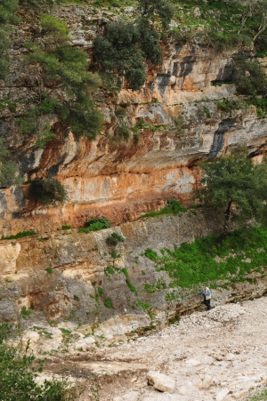 Banked limestone cliff in small valley S of Agia Effimia, Cephalonia.