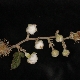 Rubus sanctus subsp. discolor